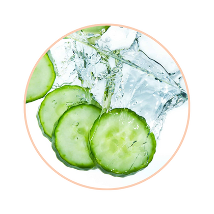 Cucumber fruit extract