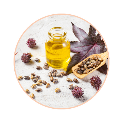 Ricinus Communis Seed Oil (Rizinusöl)