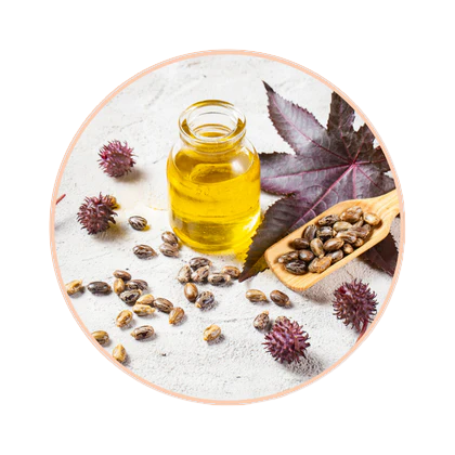 Ricinus Communis Seed Oil (Rizinusöl)